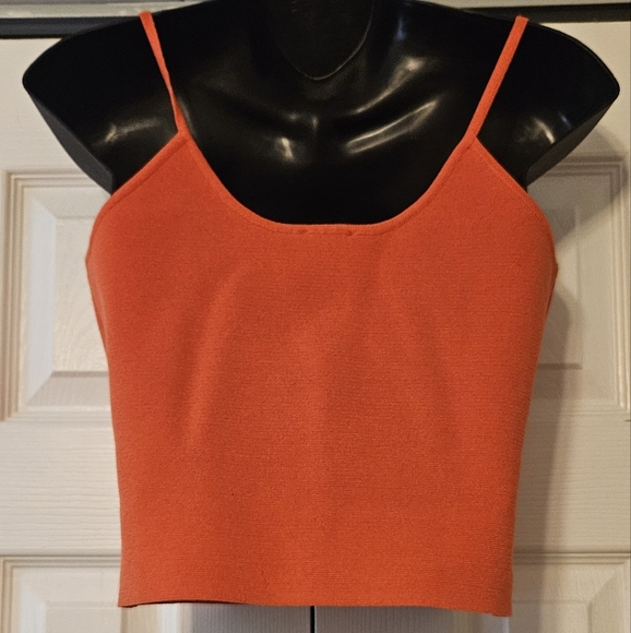 NWT Express Crop Top - Picture 2 of 6